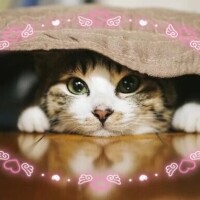 ありがとうございました🌸