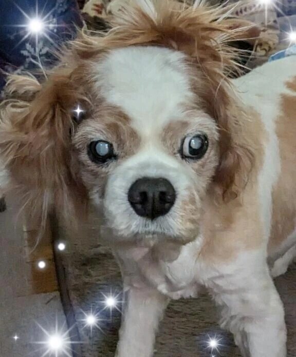 ♡朝になってもた♡