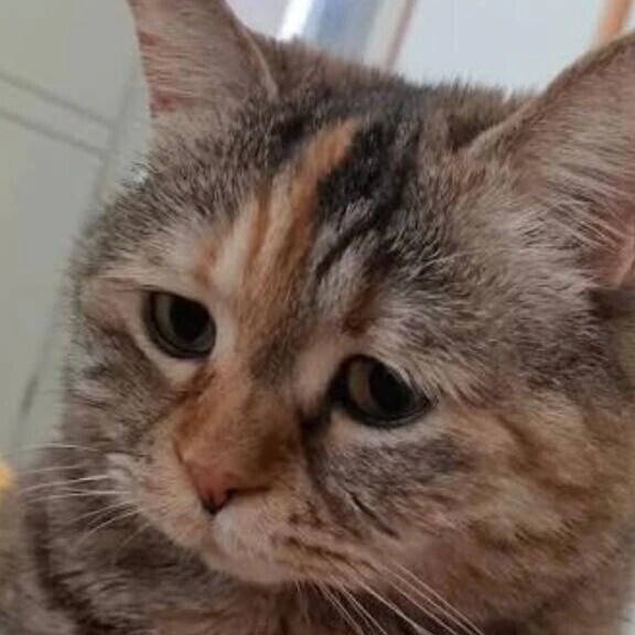 年末年始のシフト情報