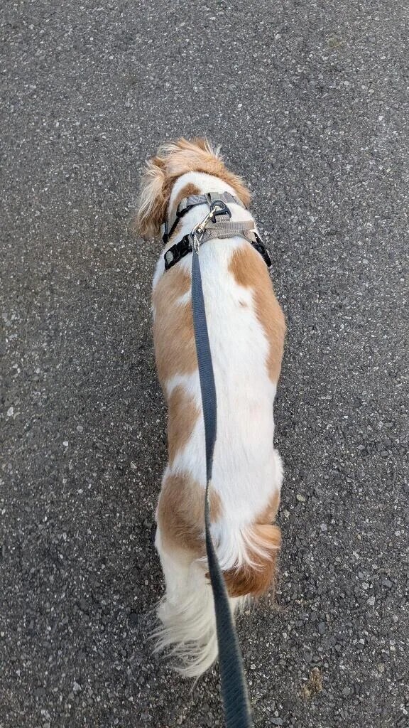 天気はいいんだけど北風が冷た!!