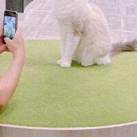 しゅっきんしました(*^^*)