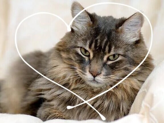 ありがとうございました♡