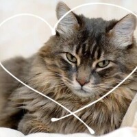 ありがとうございました♡