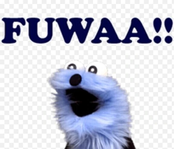 本日は13〜18時出勤です✨