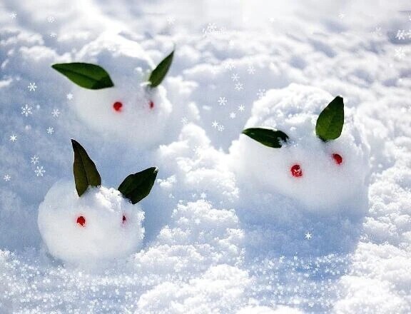 あけましておめでとうございます！