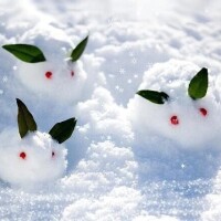 あけましておめでとうございます！