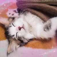 ありがとうございました!(´▽｀)