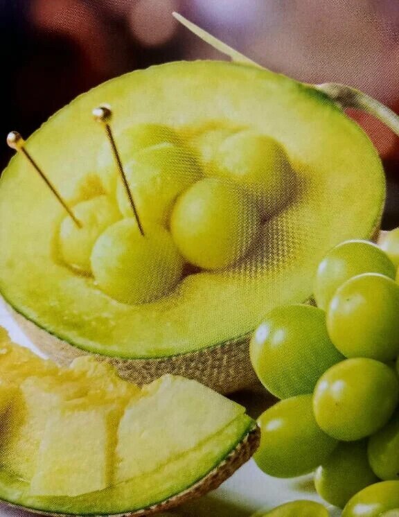 おはようございます