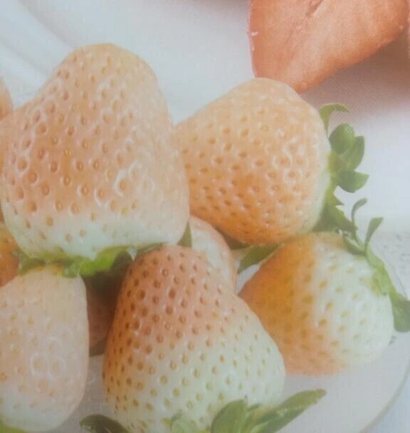 今日の次は三連休❗