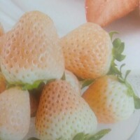 今日の次は三連休❗