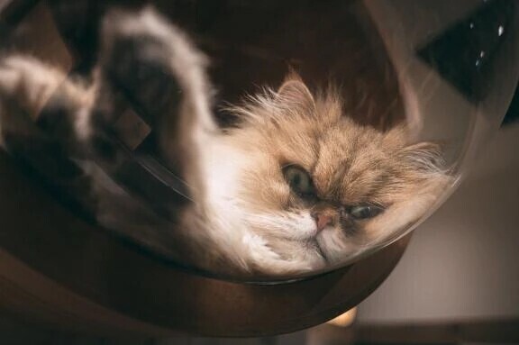 ありがとう、また明日！