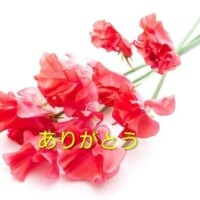 おはようございます。