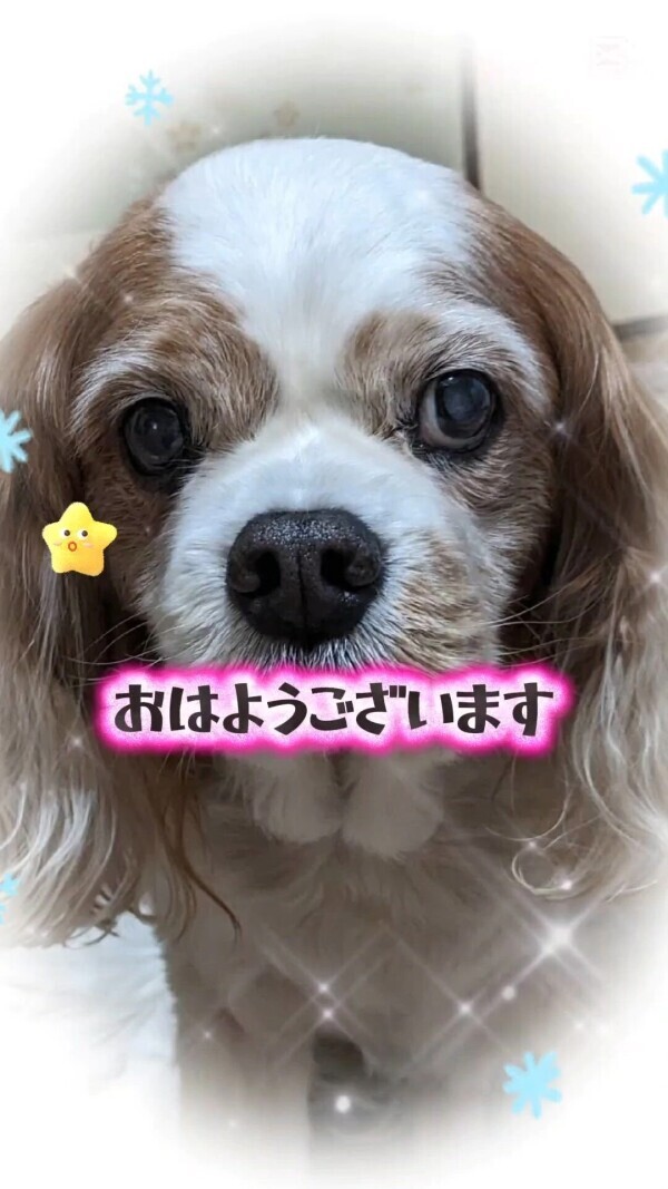 今日もファイト🌞