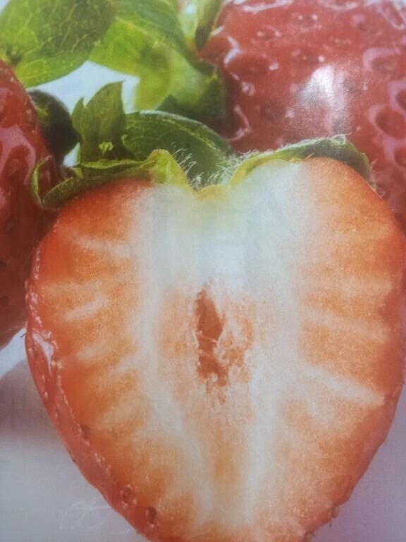 おはようございます😃