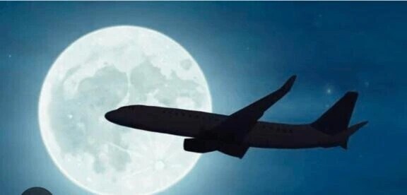 明日も良い日であります様に🌛