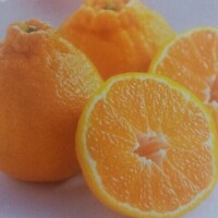 わりとレアめな今日明日