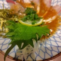 福岡を振り返る✈