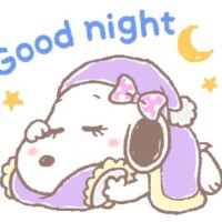 おやすみ🌃明日も待ってるね💖