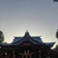 福岡を振り返る✈