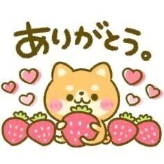 お礼日記💌🍮