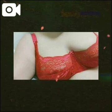 出勤しましたー