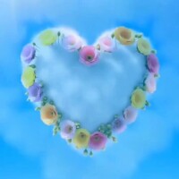 皆さまは何してますか？