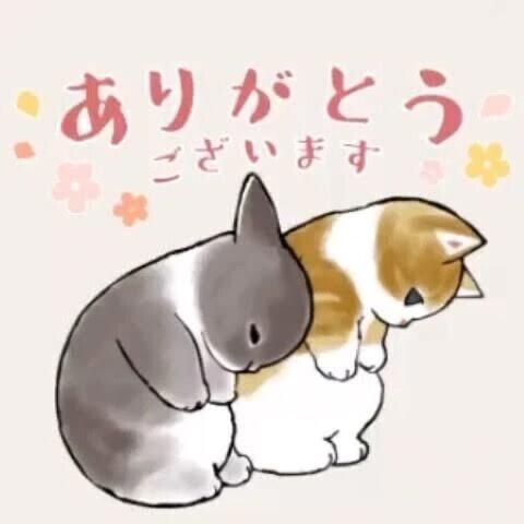 お礼日記💌❤️