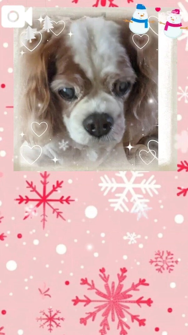 一日頑張ろうネ🧓