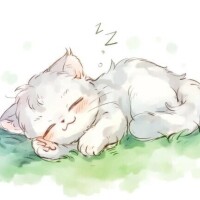 ご予約ありがとうございます😸