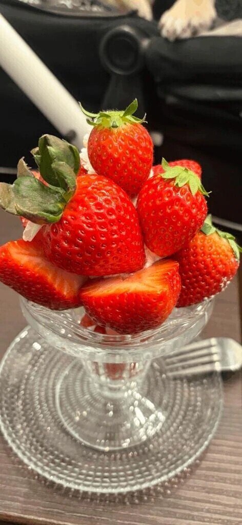 明日はおやすみ〜