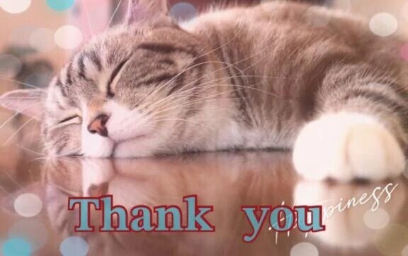 昨日のお礼💌です