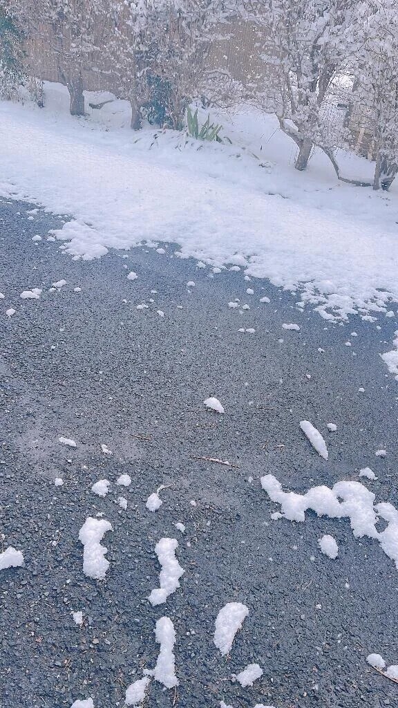 雪⛄️