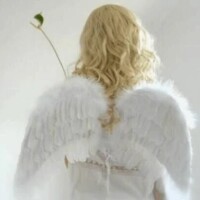 ＊こんばんは＊