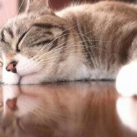 昨日のお礼💌です