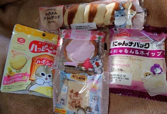 ねこがいっぱい