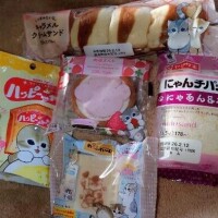 ねこがいっぱい