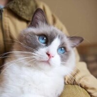 ありがとうございました🌸