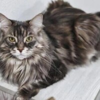 昨日のお礼💌です🍒