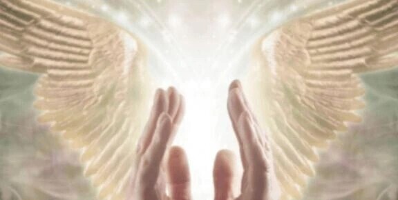 ＊登板と予告🧢＊