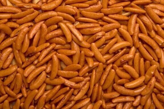 イベントのお礼と次回予定？