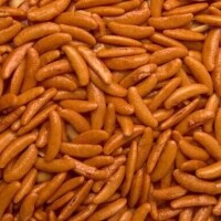 イベントのお礼と次回予定？