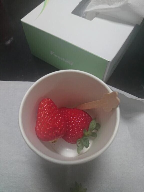 いちごの妖精さんから