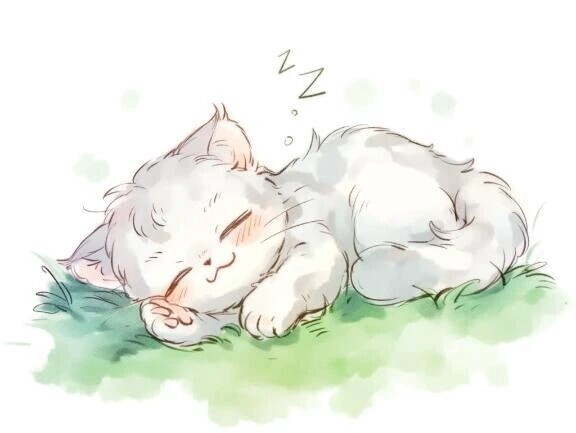 事前ご予約ありがとうございます😸