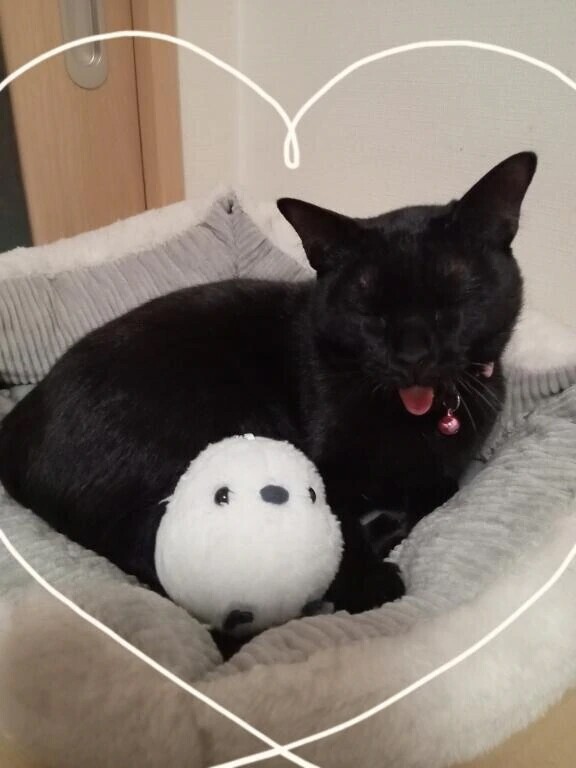 出勤しています。