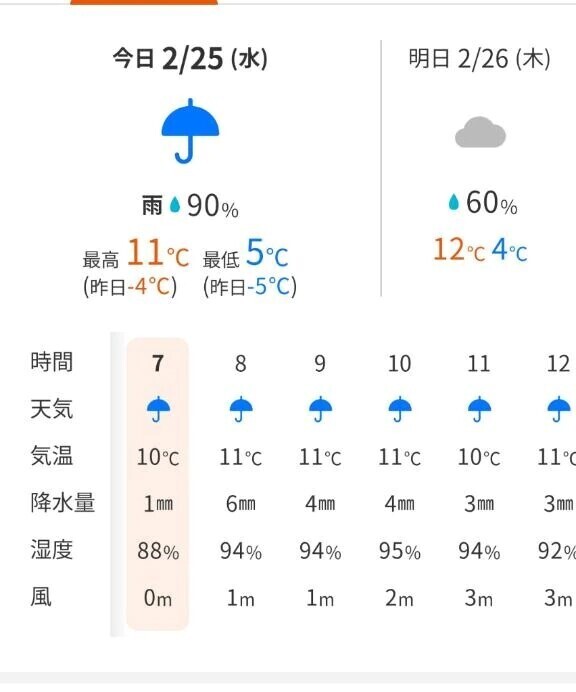 今日は終日雨☔