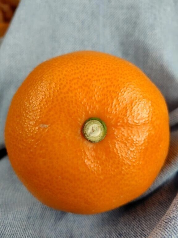 本日のおやつ🍊