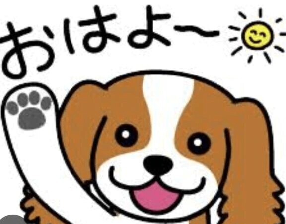 金曜日・ファイト💕