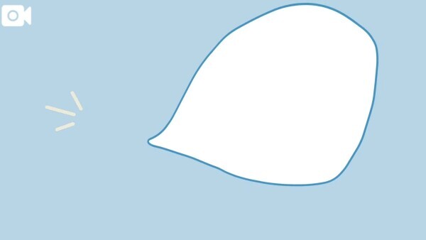 ＊こんにちは🐸＊