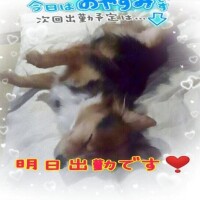 おはようございます😣