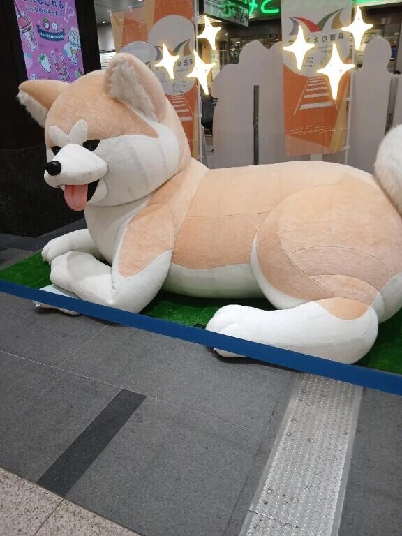 かわいい
